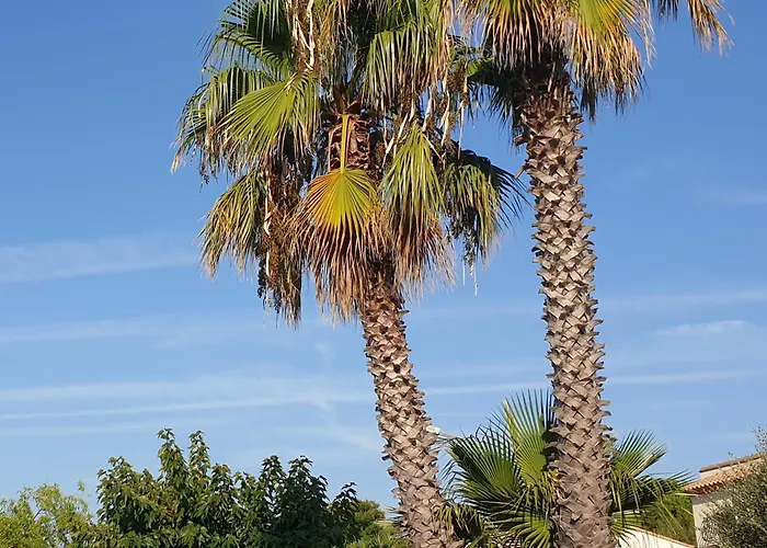 Kylian's Dream T4 Meuble 4 Etoiles 5mn Des Plages 公寓